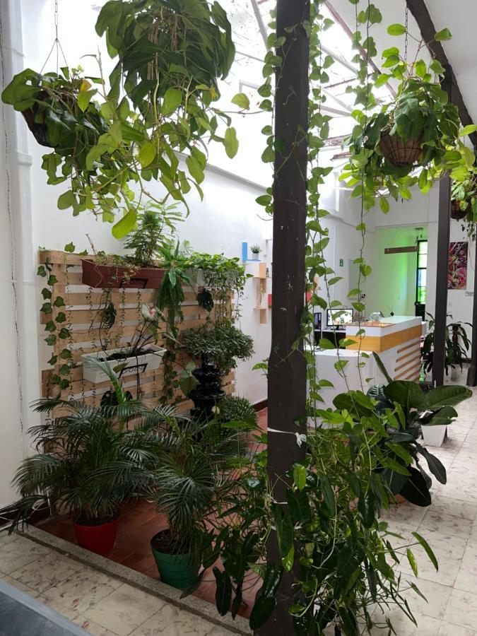 招待所 Casa Blanca San Antonio Boutique Cali