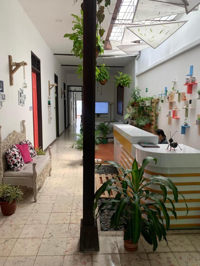 Casa Blanca San Antonio Boutique 招待所 *